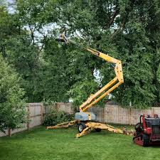 Best Tree and Shrub Care  in Pineville, KY