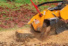 Best Seasonal Cleanup (Spring/Fall)  in Pineville, KY
