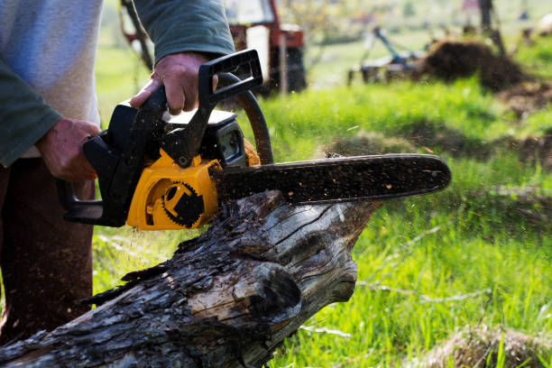Best Pest Control for Lawns  in Pineville, KY